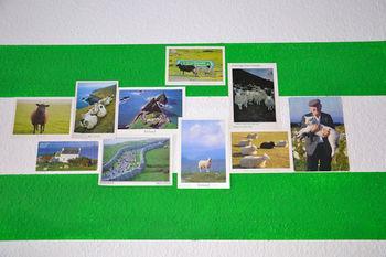 Black Sheep * Keulen